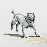 ryanpaintsdogs profile picture