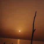 ryanriversstudio profile picture