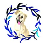 s.e.spencer profile picture