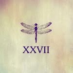 s.tefy_b.m profile picture