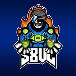 s8ul.esports profile picture