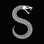 s_tier.ig profile picture