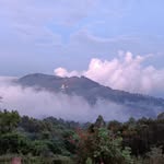 sa.urya152 profile picture