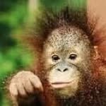 sabahtourism profile picture