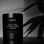 sabeau_apothecary profile picture