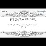 sabeeha1637 profile picture