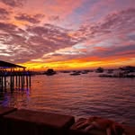 sabrine_bslm profile picture