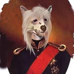 sacco_sorry profile picture