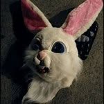 sachalecca profile picture