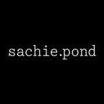 sachie.pond profile picture