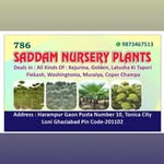 saddamnurseryp profile picture