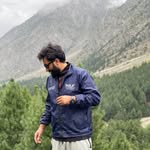 safarscape12 profile picture