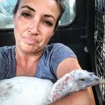safeinaustinrescue profile picture