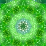 safflower5455 profile picture