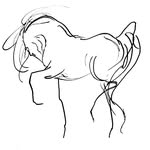 saffyresanctuary profile picture