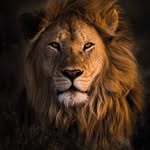 sagarbhattisagarg profile picture