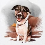 sagetheham profile picture