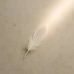 sahabas__quotes profile picture