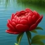 saheb_prdhn profile picture