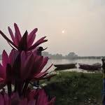 sahu__simran profile picture