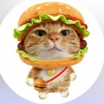 sai_duckk profile picture