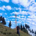saindanevaishali profile picture