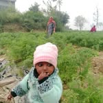 saini5667boy profile picture
