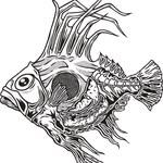 saintpeterpaddo profile picture