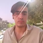 sajadstein profile picture