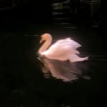 sajid__070 profile picture