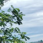 sajid_mulla_03 profile picture
