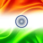 sajipappachan_ profile picture