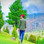 sajju.aly profile picture
