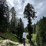 saksham_gaktu profile picture
