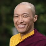 sakyongmiphamrinpoche profile picture