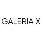 salaogaleriax profile picture