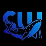 salehbaywhalesharks profile picture