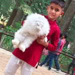 salim_rajar90 profile picture