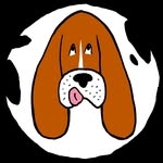sallylongdog profile picture