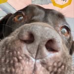sallypeecasso profile picture
