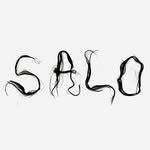 salo.community profile picture