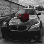 saloxiddinov02 profile picture