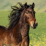 saltsgirl58 profile picture