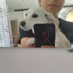 saltysoul._ profile picture