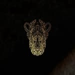 salvajemiami profile picture