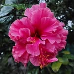 sameeksha_.252 profile picture