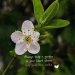 sameena_121 profile picture