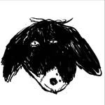 sam_kimbrell profile picture
