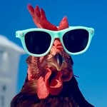 sammichicken profile picture