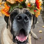 sammy.bigbubba.russo profile picture